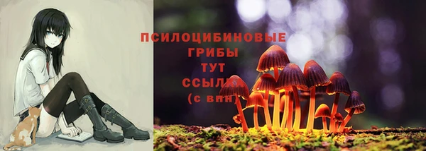скорость mdpv Богородицк