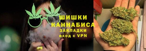 мдпв Богородск