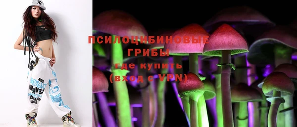 мяу мяу кристалл Богданович