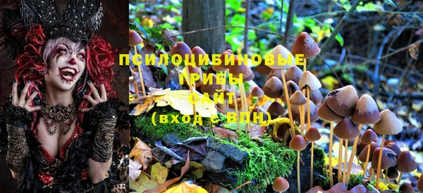 мяу мяу кристалл Богданович