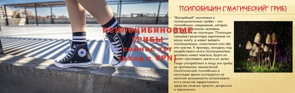 мдпв Богородск