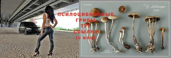 мдпв Богородск